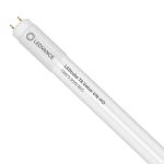 Ledvance Tube LED T8 Value (UN) High Output 18W 2000lm - 865 Lumière Du Jour | 120cm - Équivalent 36W