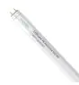 Noxion LED Buis T8 Avant Extreme (HF) High Output 14W 2100lm - 865 Daglicht | 120cm - Vervangt 36W